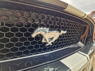 /photos/9454/b98930c8-1b4a-898f-d1ae-a95988593467_i320x240.jpg
